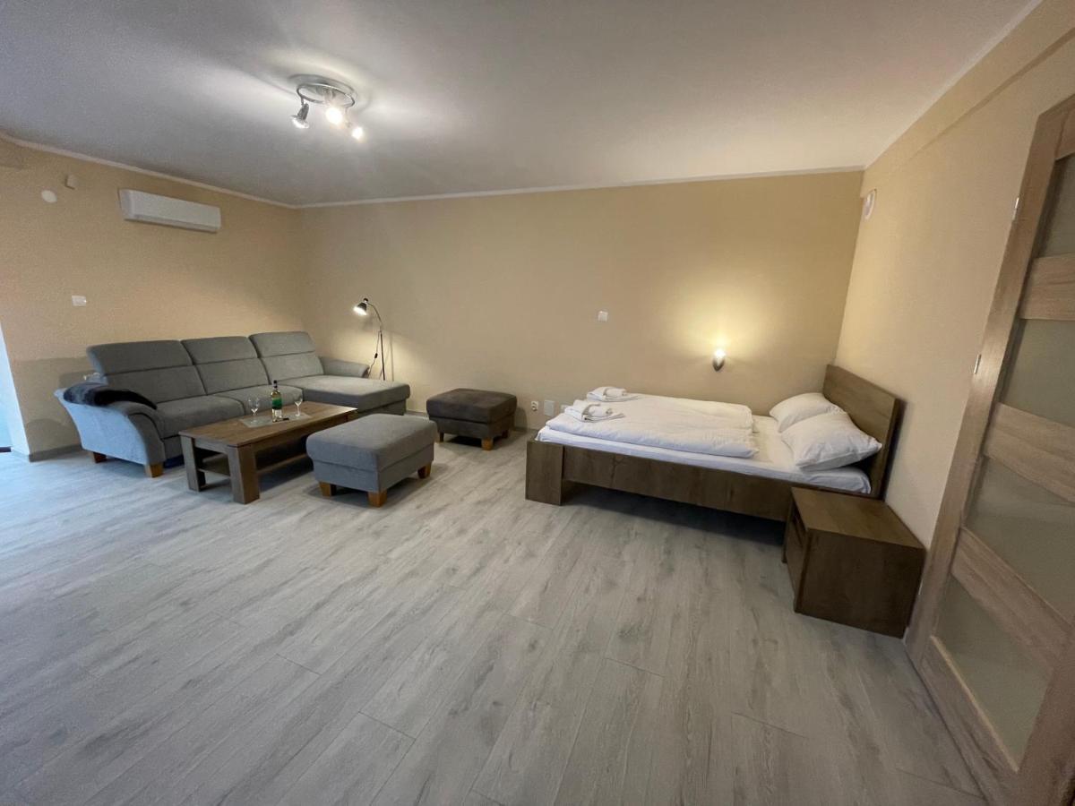 Apartamenty Alicja Dzierżoniów 外观 照片
