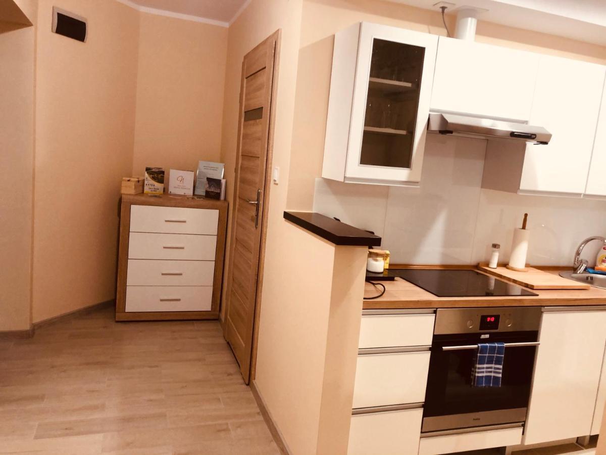 Apartamenty Alicja Dzierżoniów 外观 照片